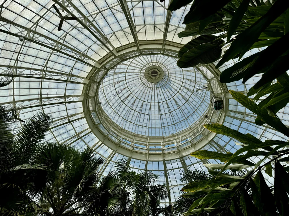 wojaug24_07 - 4.jpeg