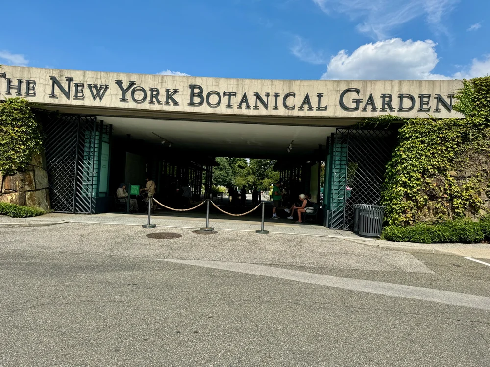 wojaug24_07 - 18.jpeg