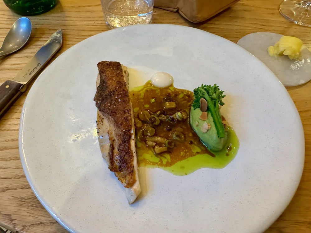 wojaug24_08 - 15.jpeg