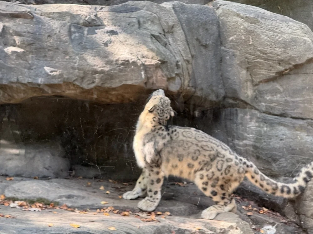 wojoct24_01 - 4.jpeg