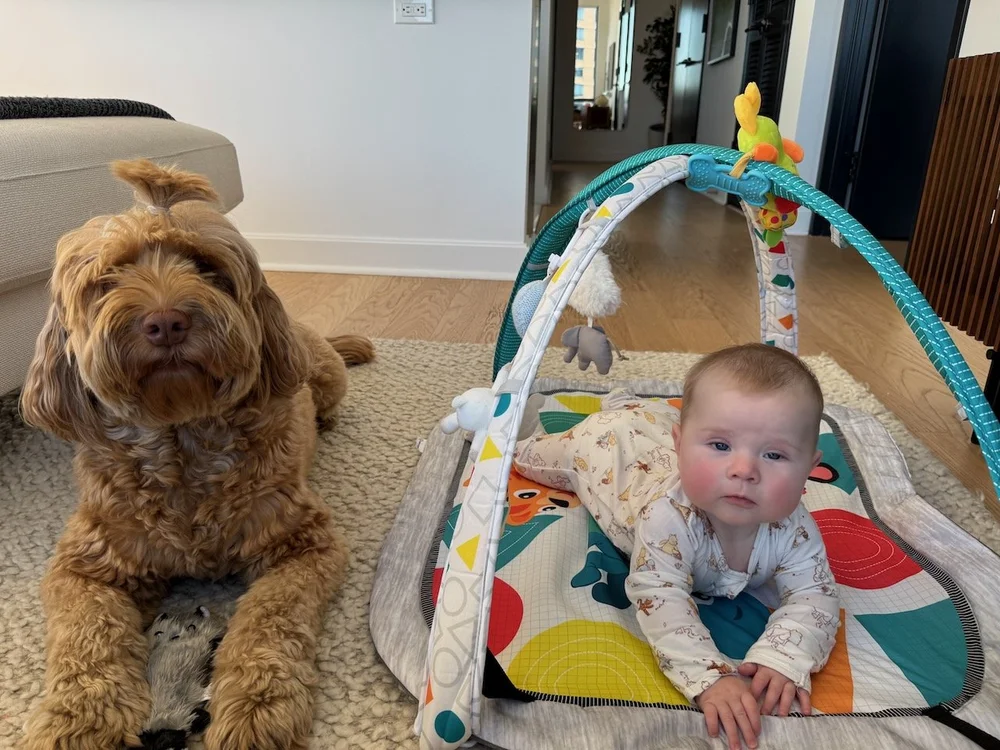 wojoct24_03 - 2.jpeg