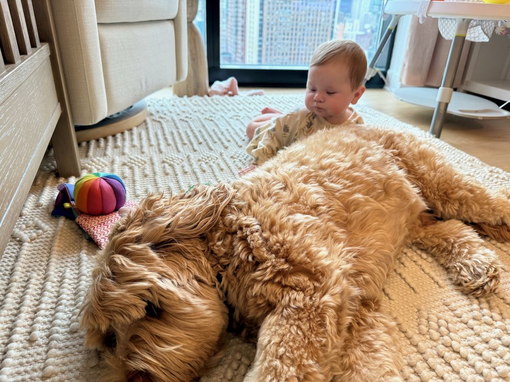 wojdec24_08 - 6.jpeg