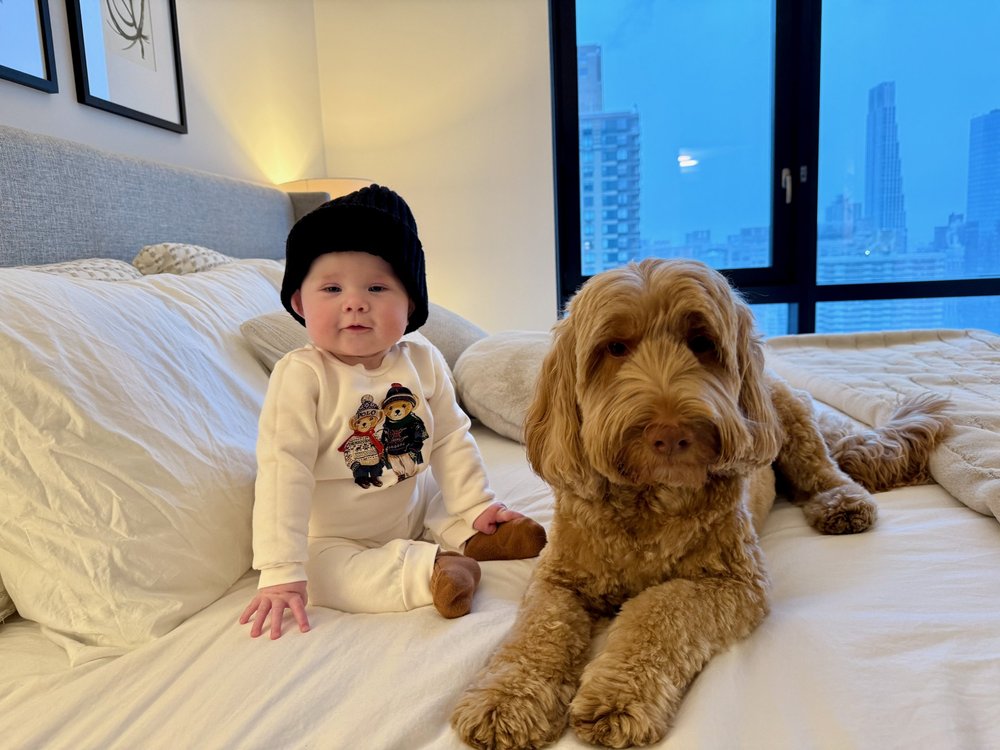 wojdec24_09 - 2.jpeg