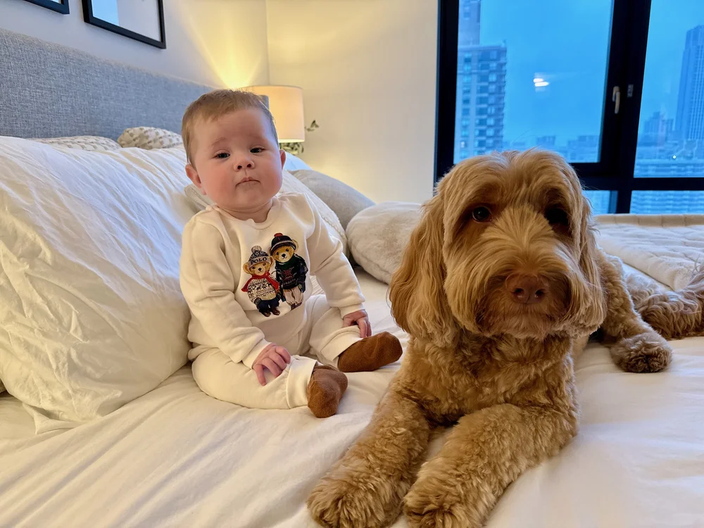 wojdec24_09 - 3.jpeg