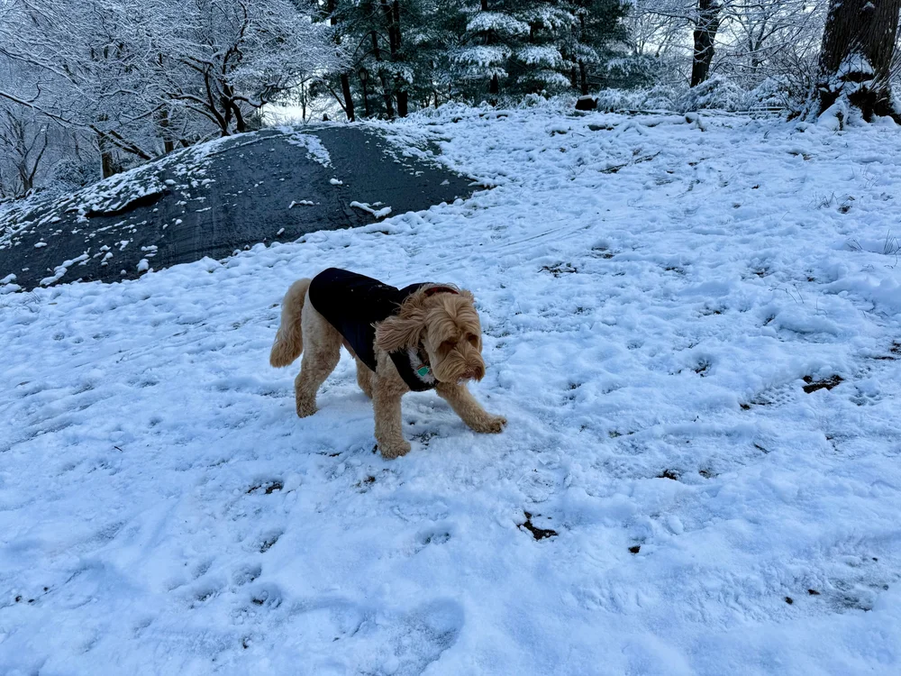 wojdec24_09 - 8.jpeg