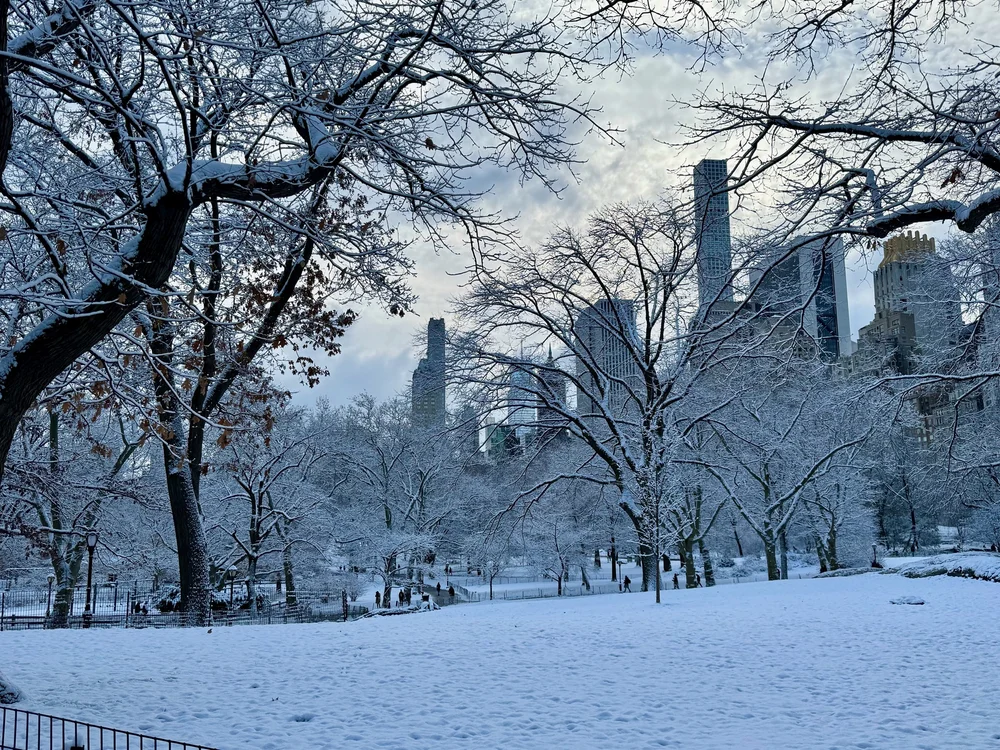 wojdec24_09 - 9.jpeg