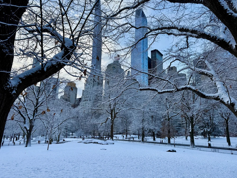 wojdec24_09 - 10.jpeg