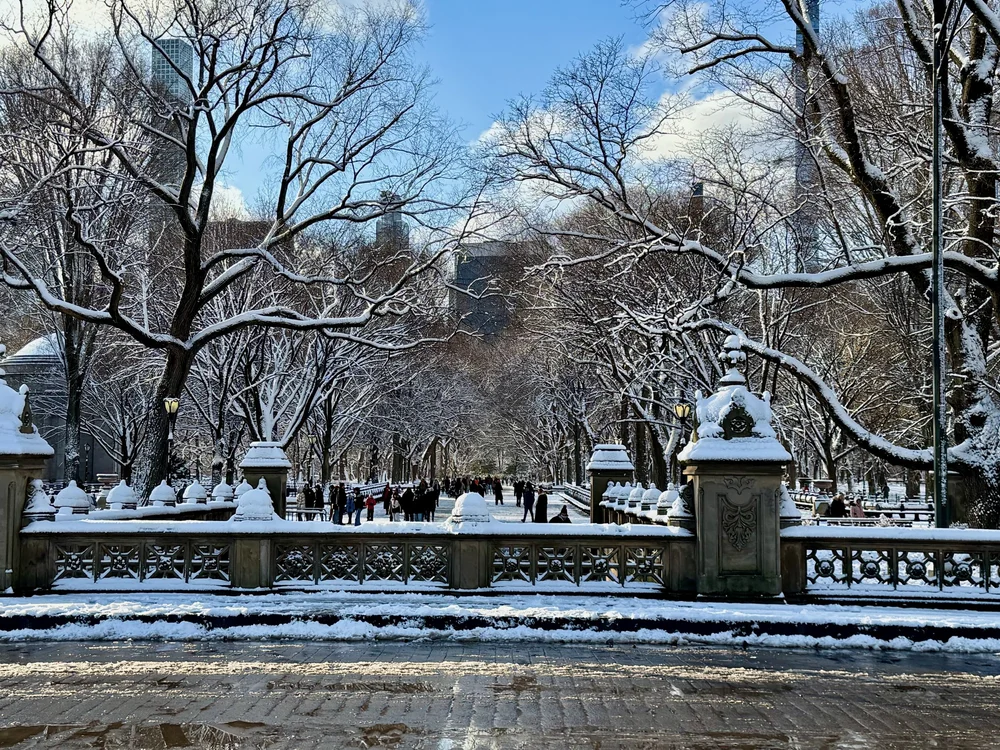 wojdec24_09 - 30.jpeg