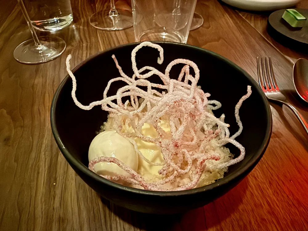 wojdec24_15 - 12.jpeg