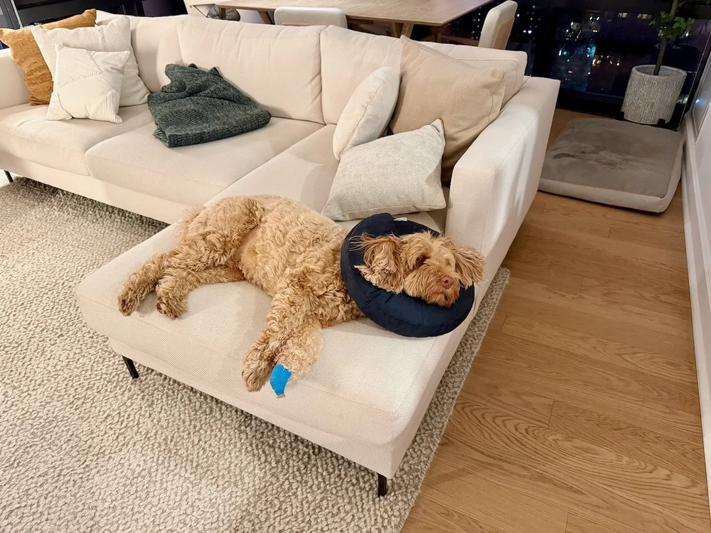 wojjan25_02 - 5.jpeg