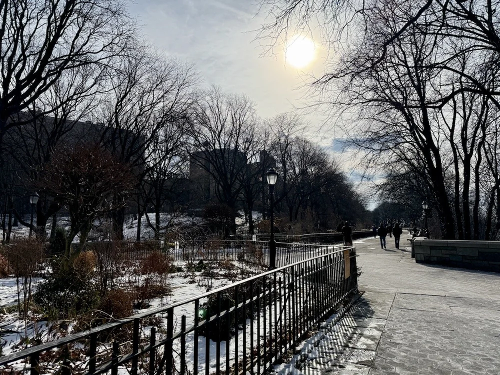 wojjan25_05 - 6.jpeg