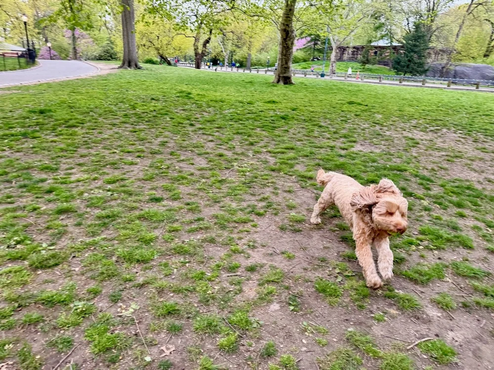 wojye2024_11 - 2.jpeg