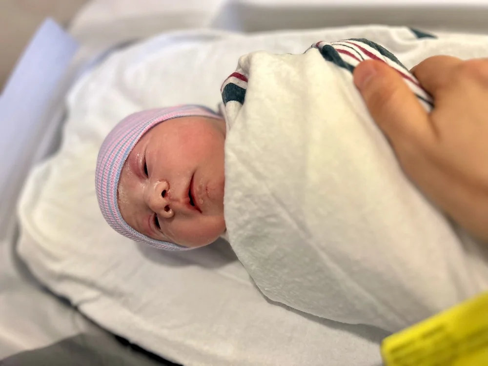 wojye2024_15 - 4.jpeg