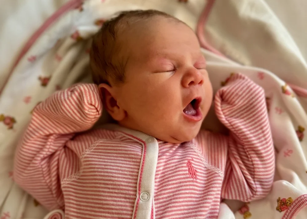 wojye2024_18 - 9.jpeg