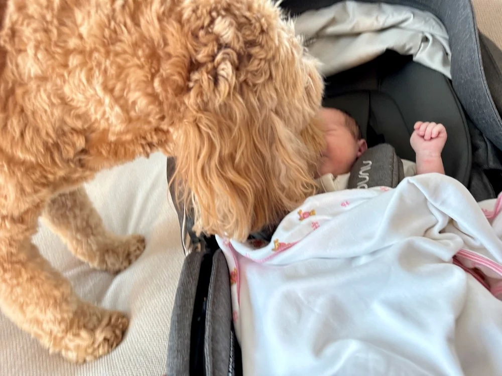 wojye2024_19 - 1.jpeg