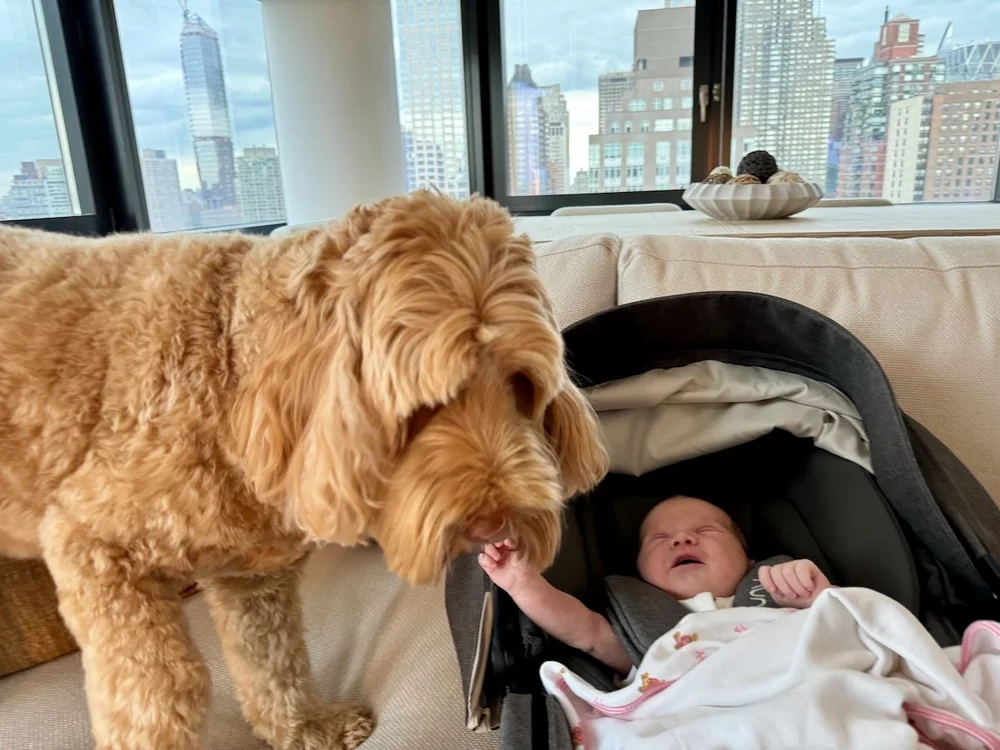 wojye2024_19 - 2.jpeg