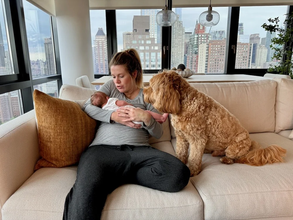 wojye2024_19 - 3.jpeg