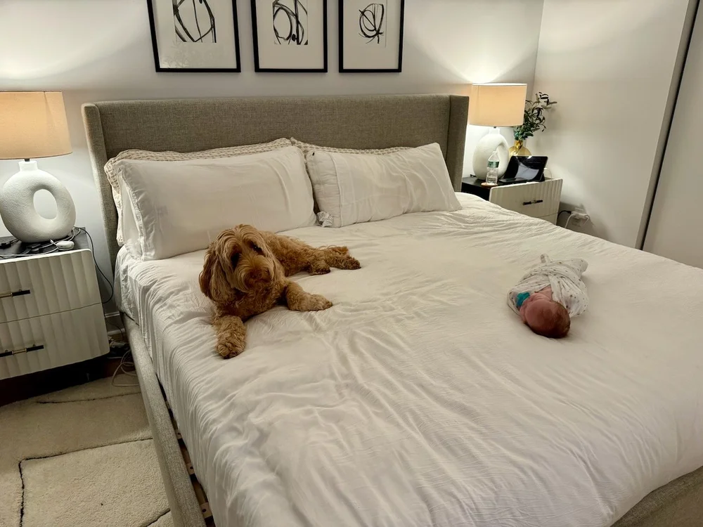 wojye2024_19 - 9.jpeg