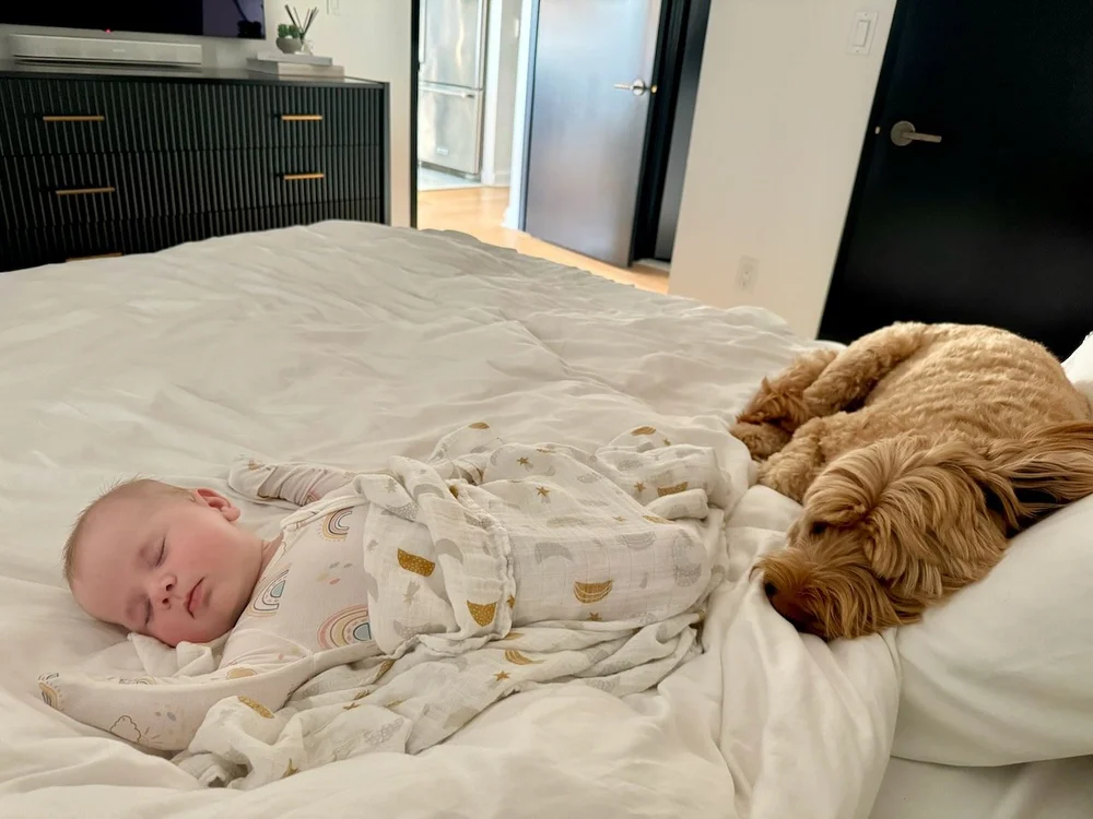 wojye2024_26 - 3.jpeg