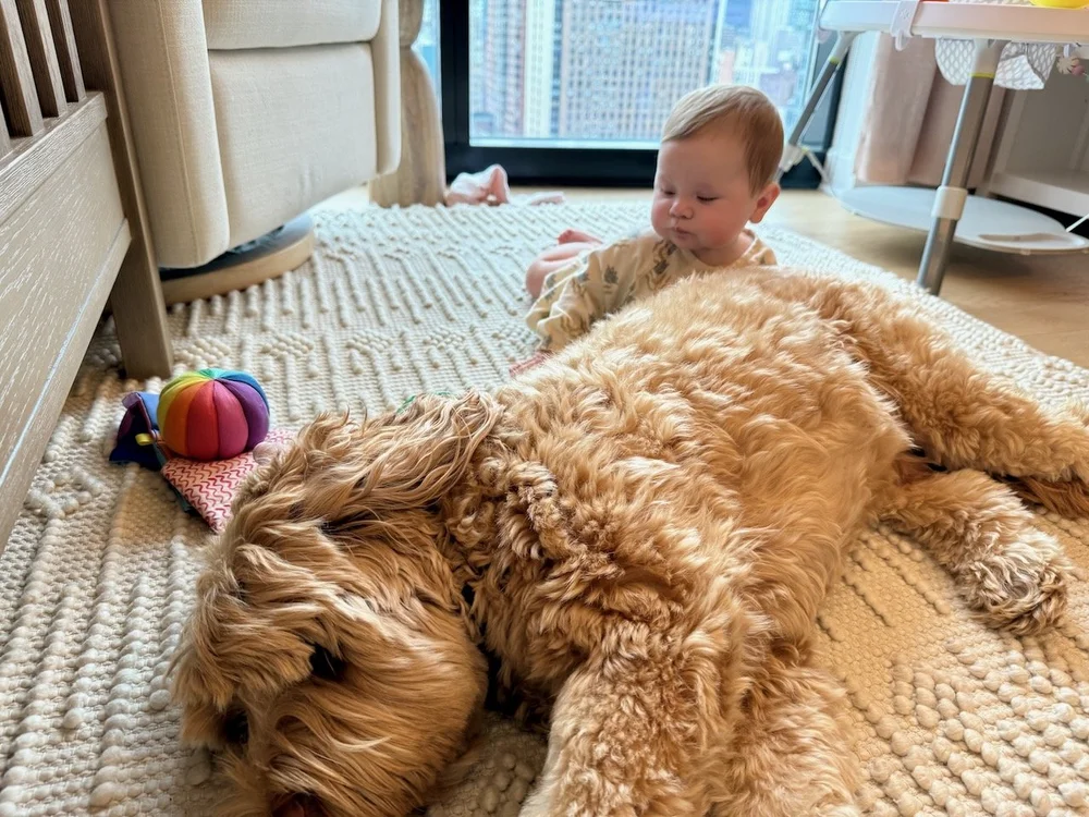 wojye2024_35 - 1.jpeg