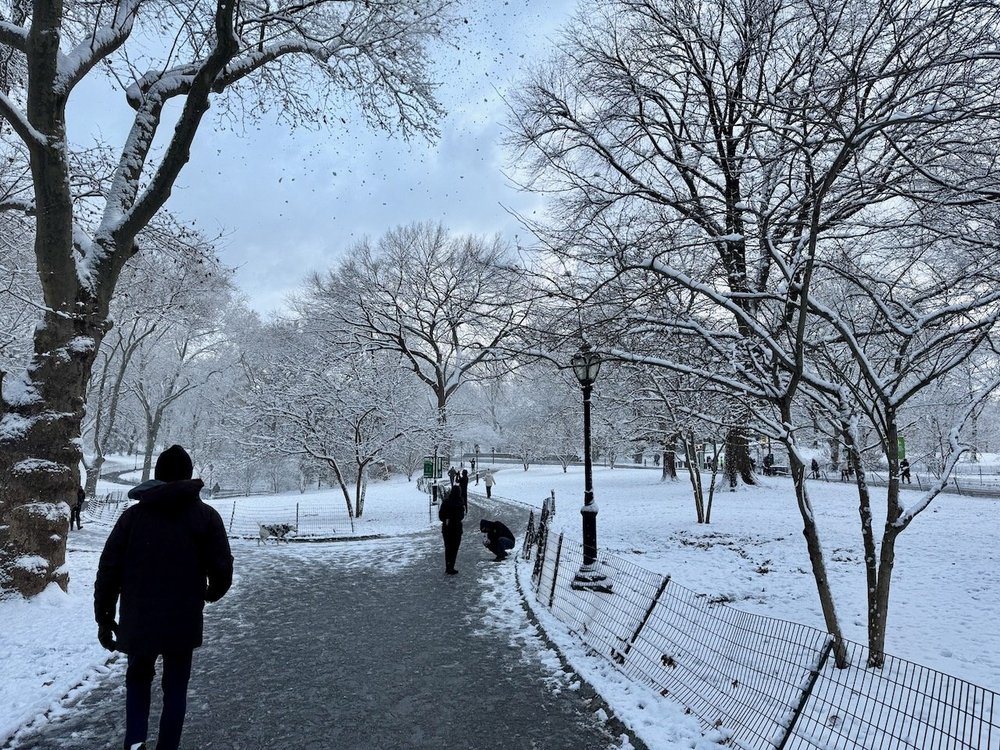 wojye2024_35 - 8.jpeg