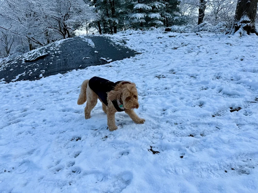 wojye2024_35 - 9.jpeg