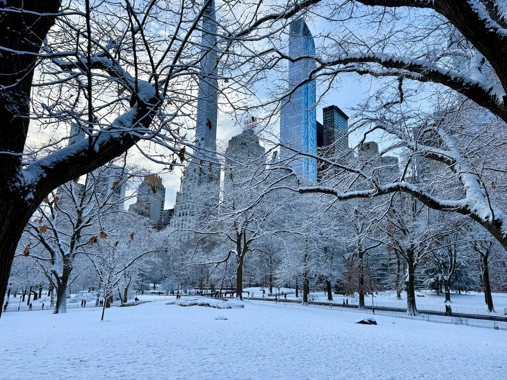 wojye2024_35 - 10.jpeg