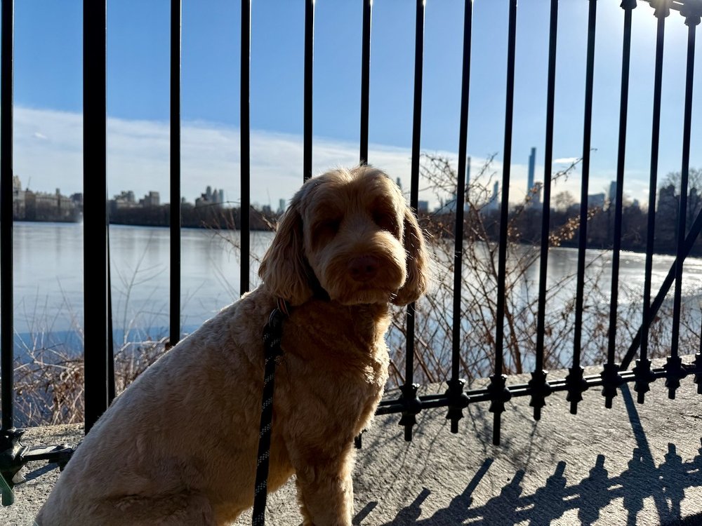 wojfeb25_09 - 2.jpeg