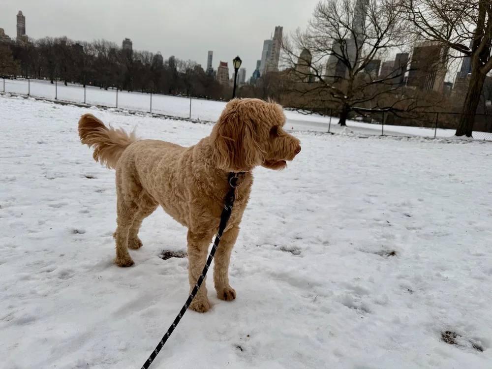 wojfeb25_09 - 9.jpeg