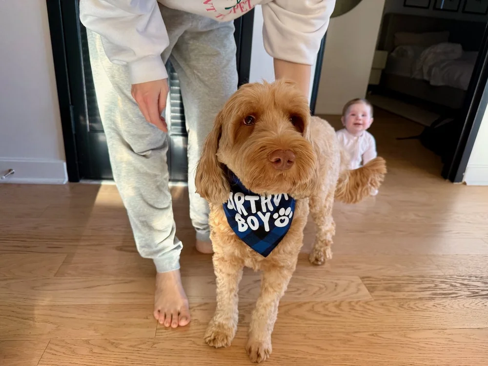 wojfeb25_11 - 2.jpeg