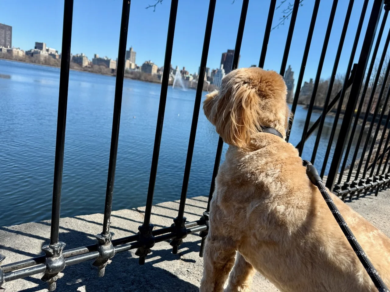 wojmar25_12 - 4.jpeg