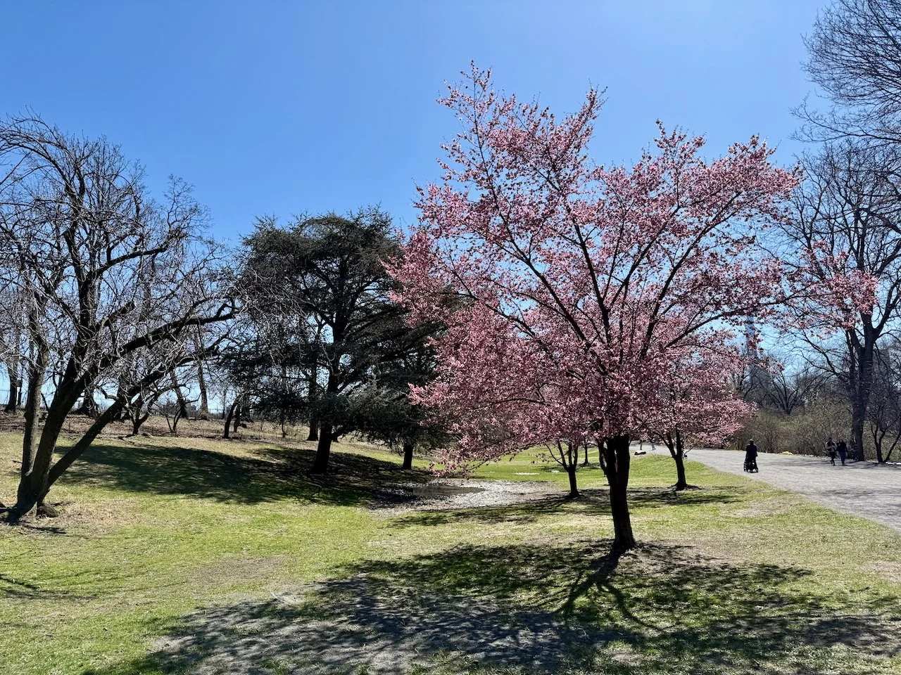 wojmar25_12 - 5.jpeg