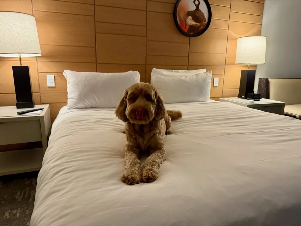 wojapr25_04 - 1.jpeg