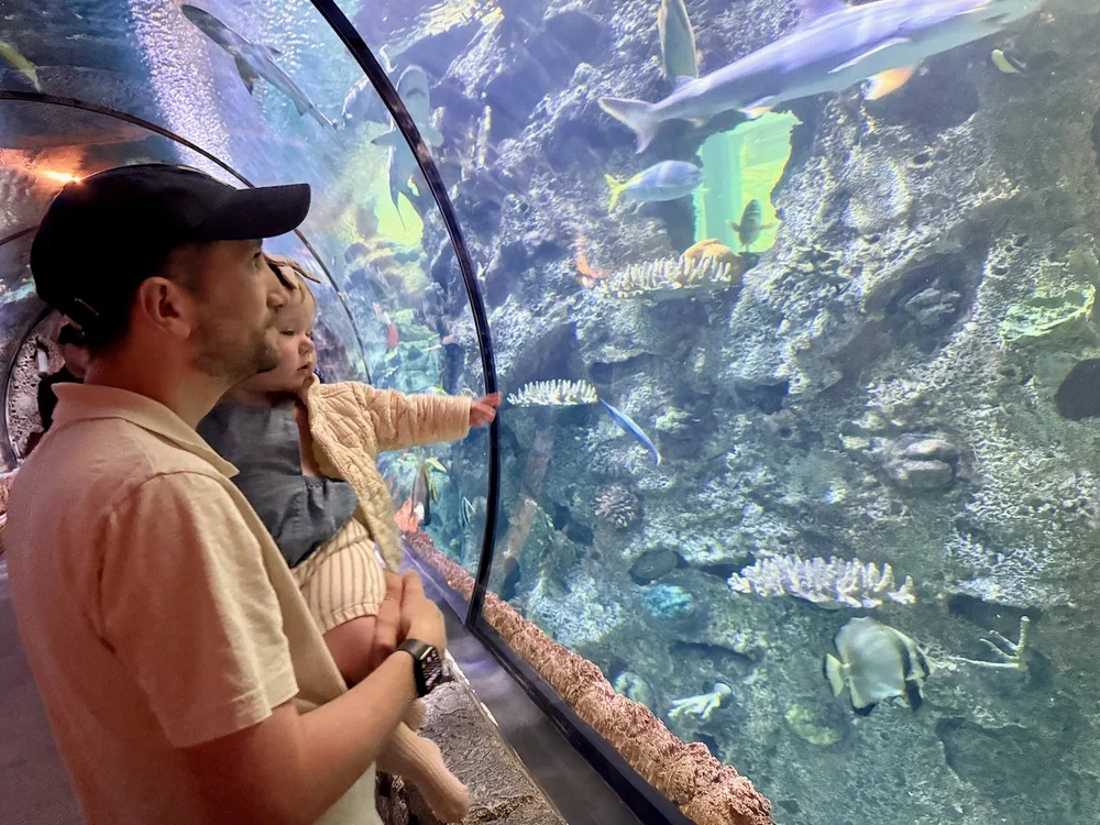 wojmay25_03 - 15.jpeg