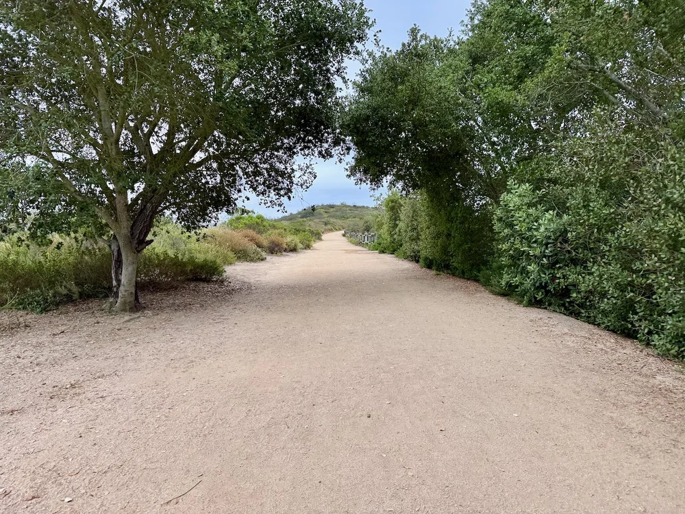 wojmay25_06 - 6.jpeg