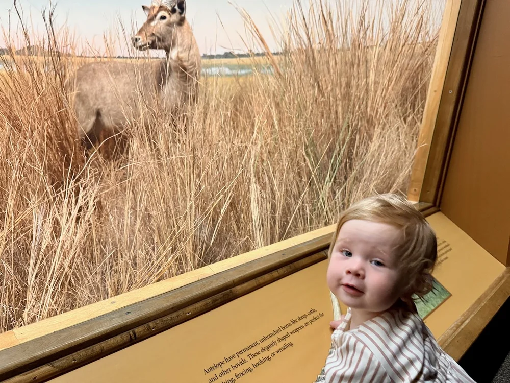 wojjune25_04 - 17.jpeg