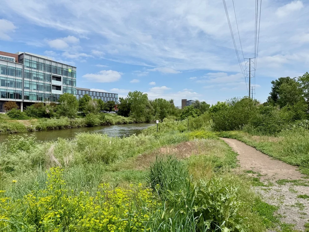 wojjune25_04 - 19.jpeg