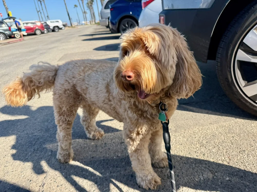 wojjuly25_03 - 1.jpeg