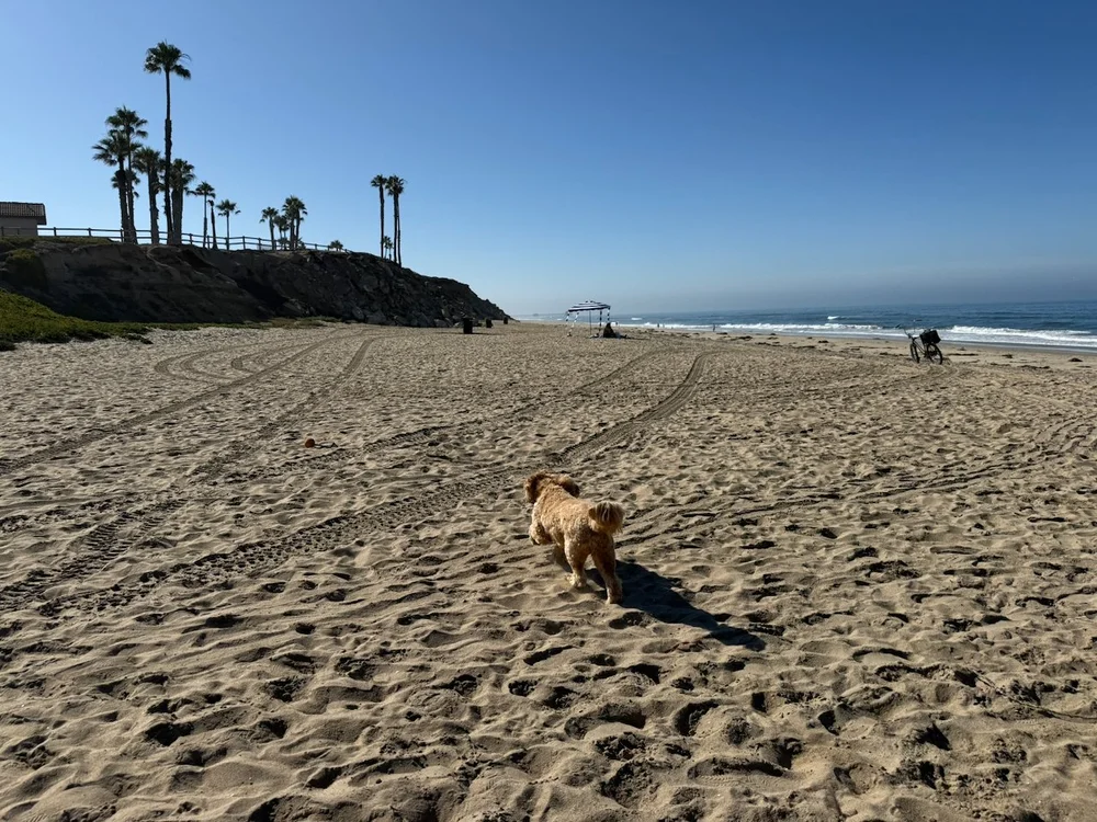 wojjuly25_03 - 4.jpeg