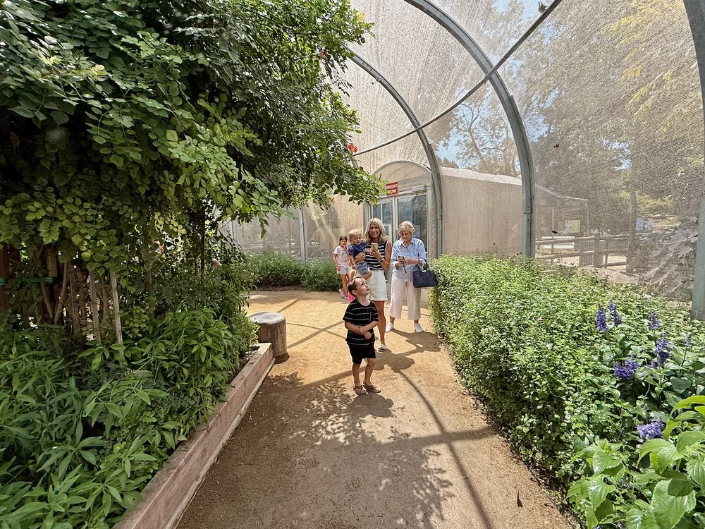 wojjuly25_05 - 6.jpeg