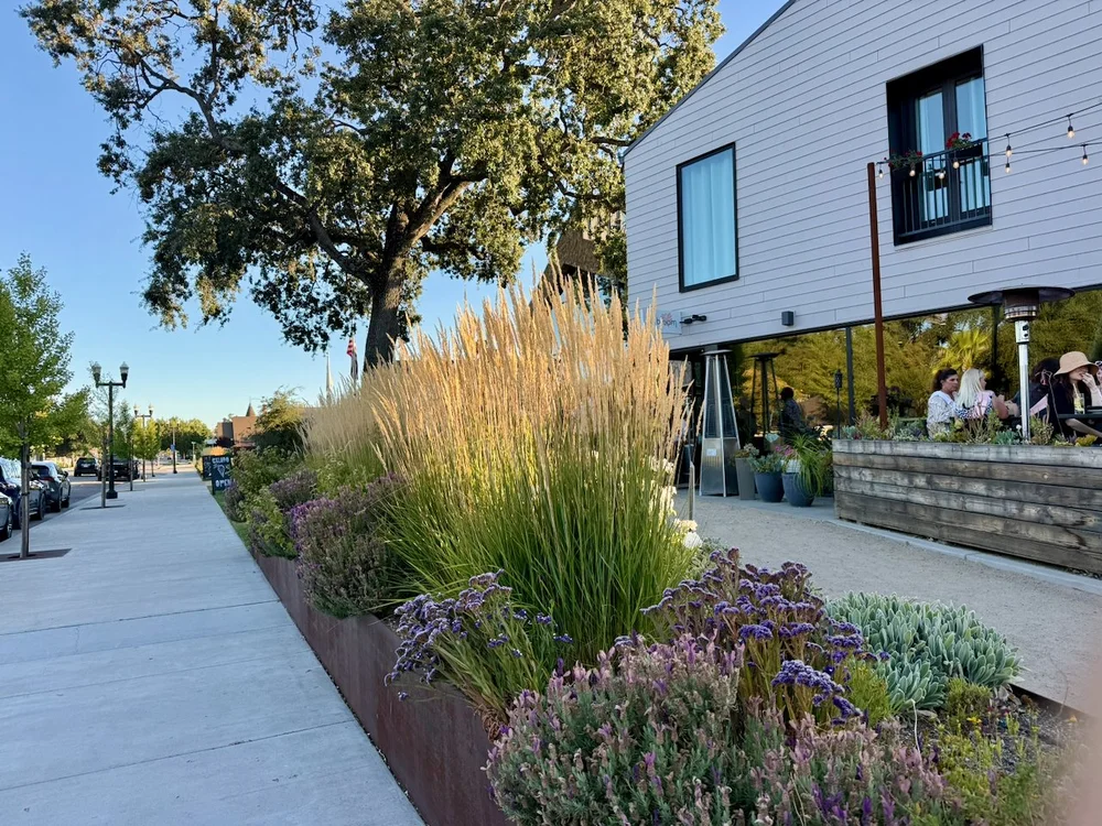 wojaug25_03 - 12.jpeg