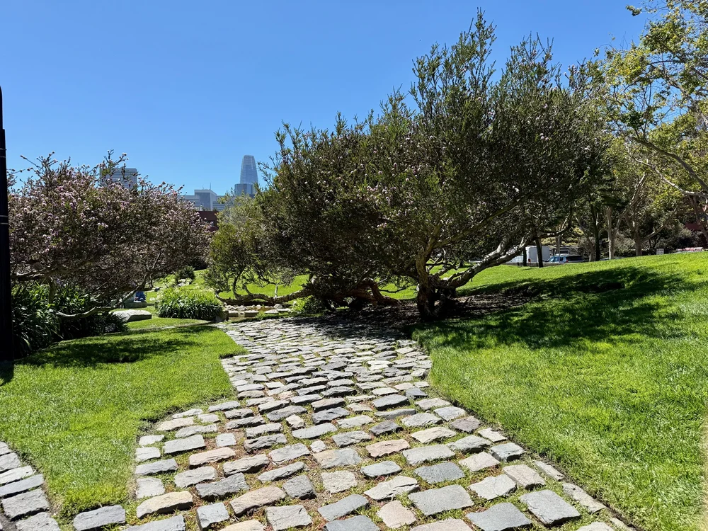 wojaug25_07 - 3.jpeg