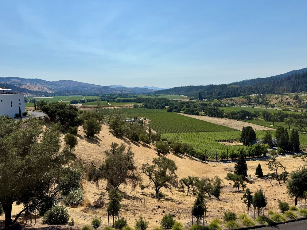 wojaug25_09 - 5.jpeg