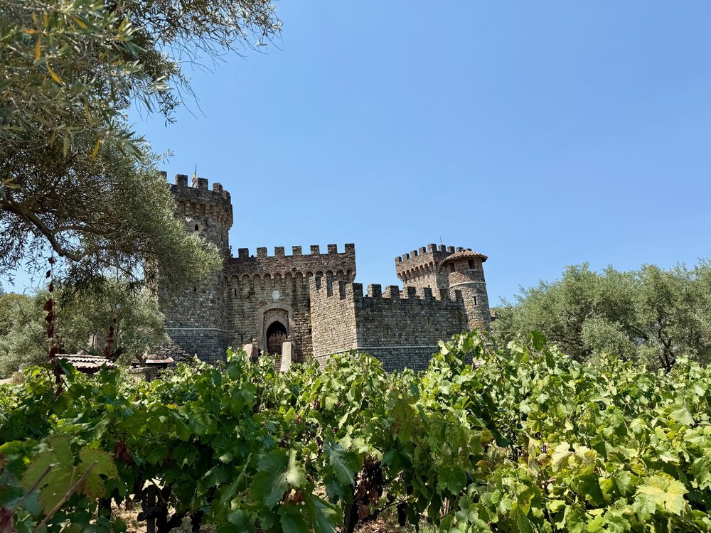 wojaug25_09 - 17.jpeg