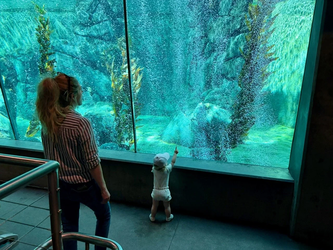 wojoct25_04 - 5.jpeg