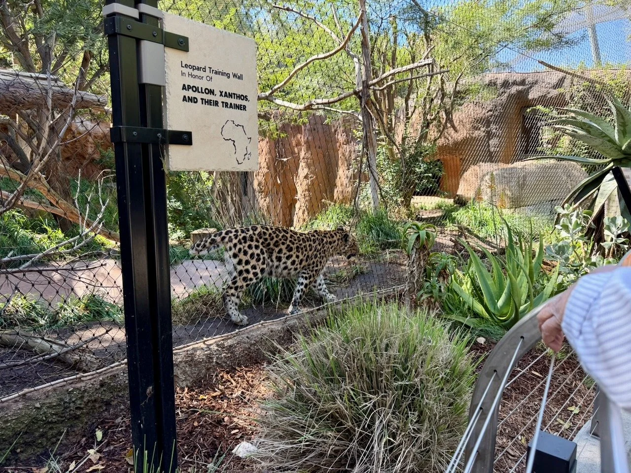 wojoct25_04 - 11.jpeg