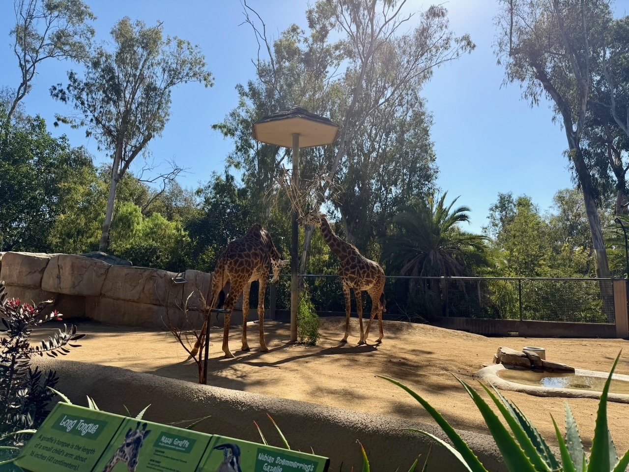 wojoct25_04 - 16.jpeg