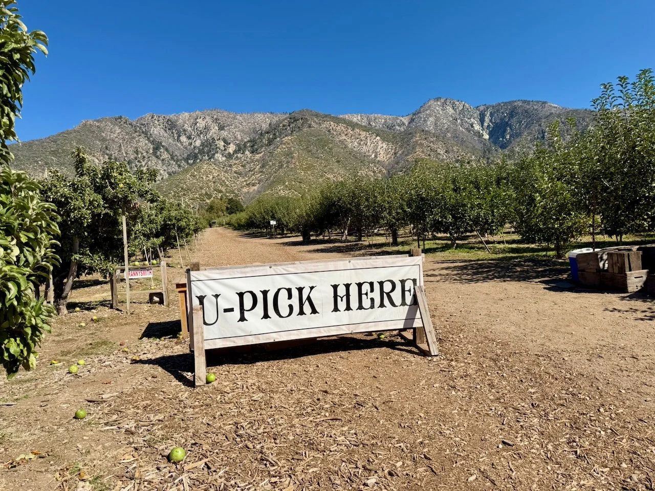 wojoct25_08 - 4.jpeg