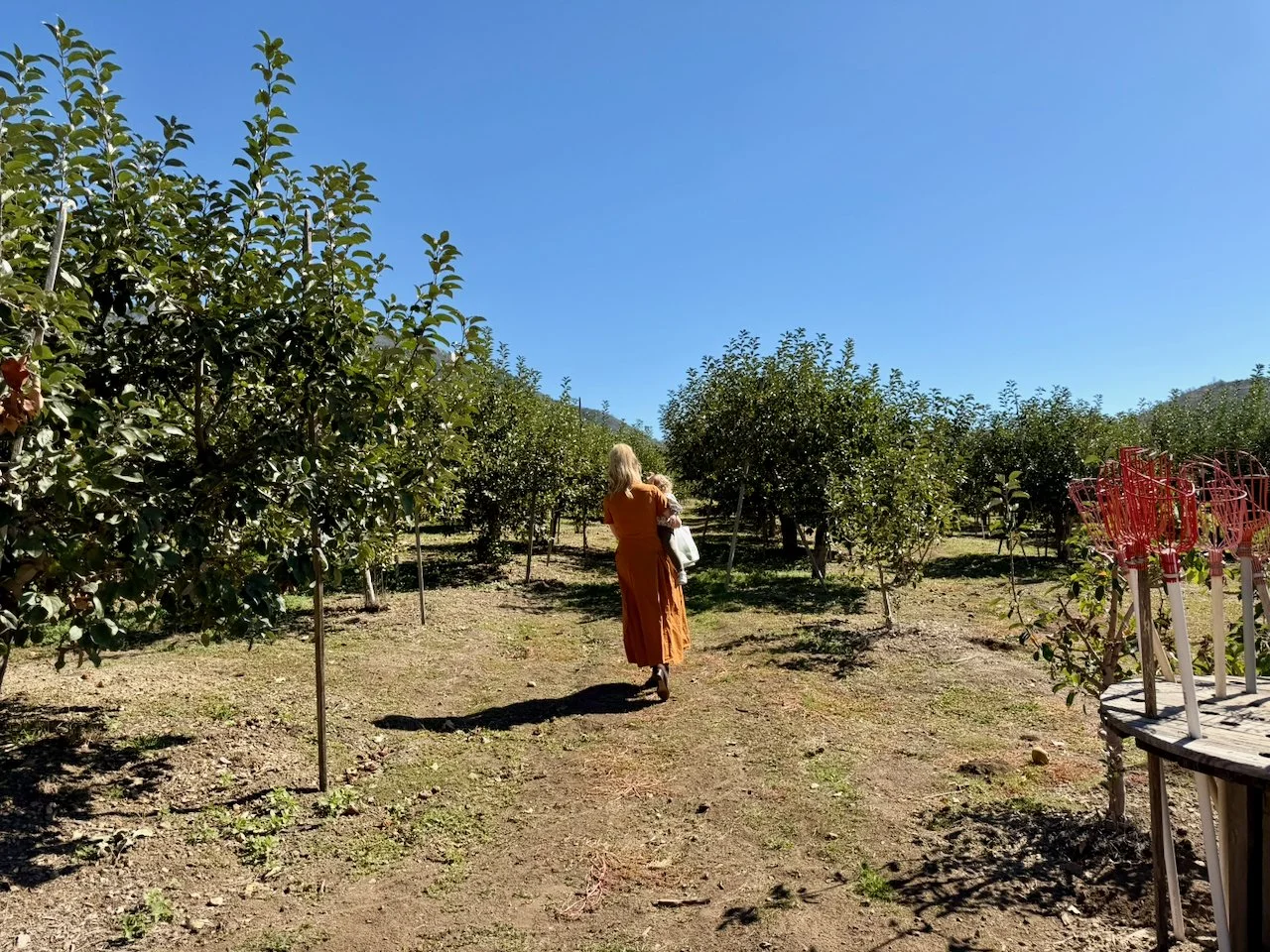 wojoct25_08 - 5.jpeg