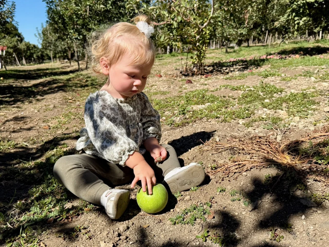 wojoct25_08 - 11.jpeg